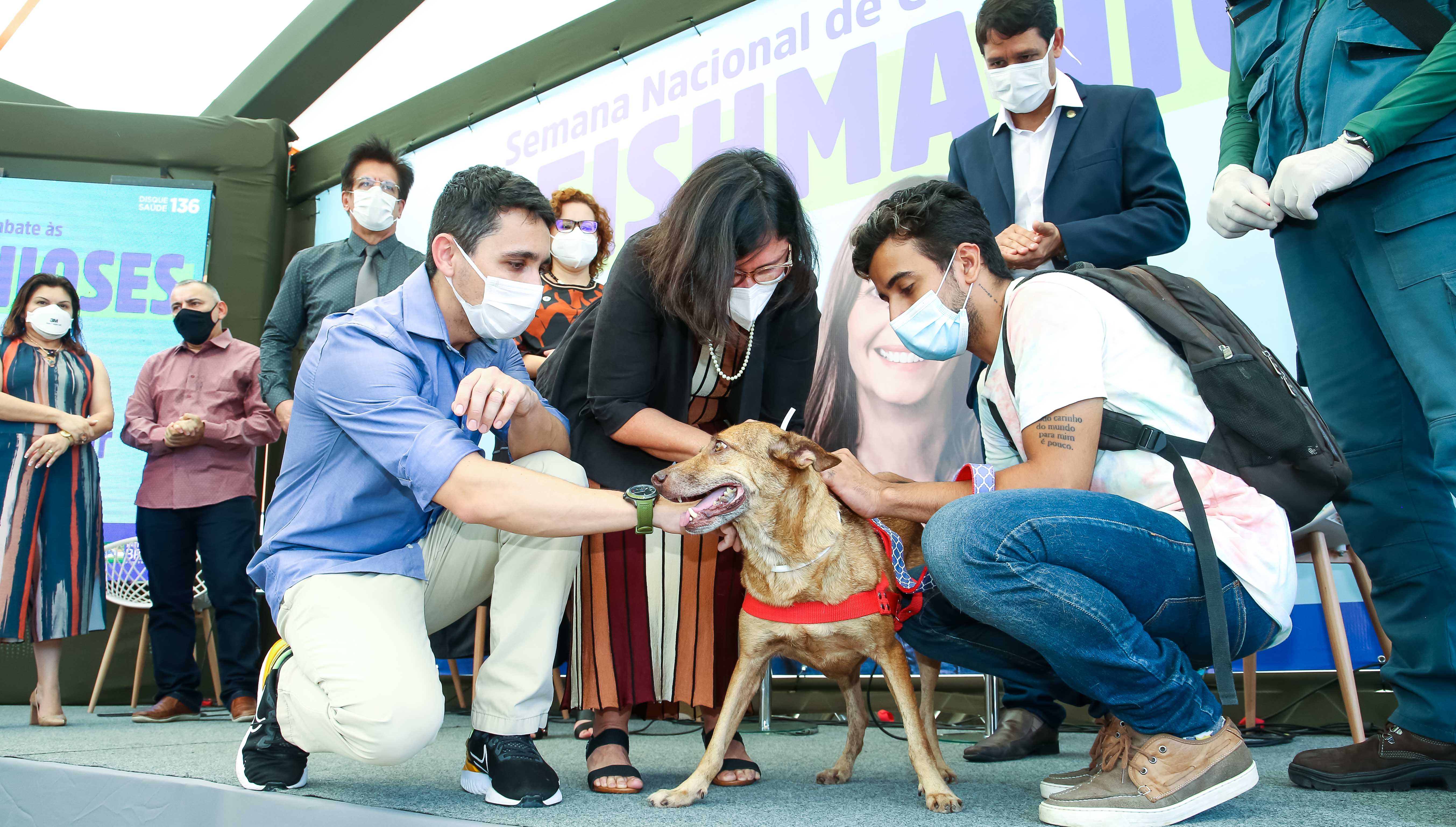 uma pessoa coloca uma coleira em um cachorro enquanto outra o segura